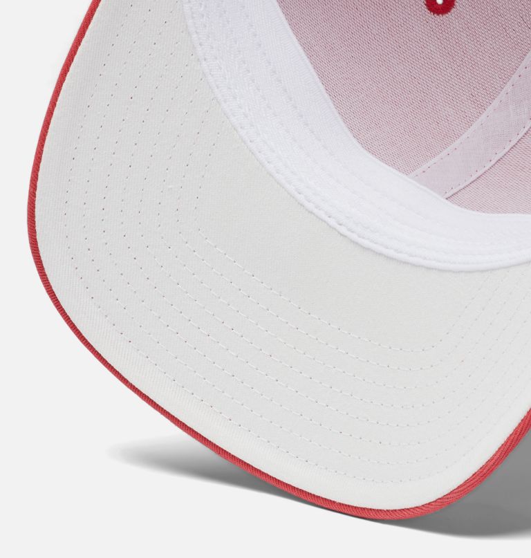 pfg logo-nettballcaps