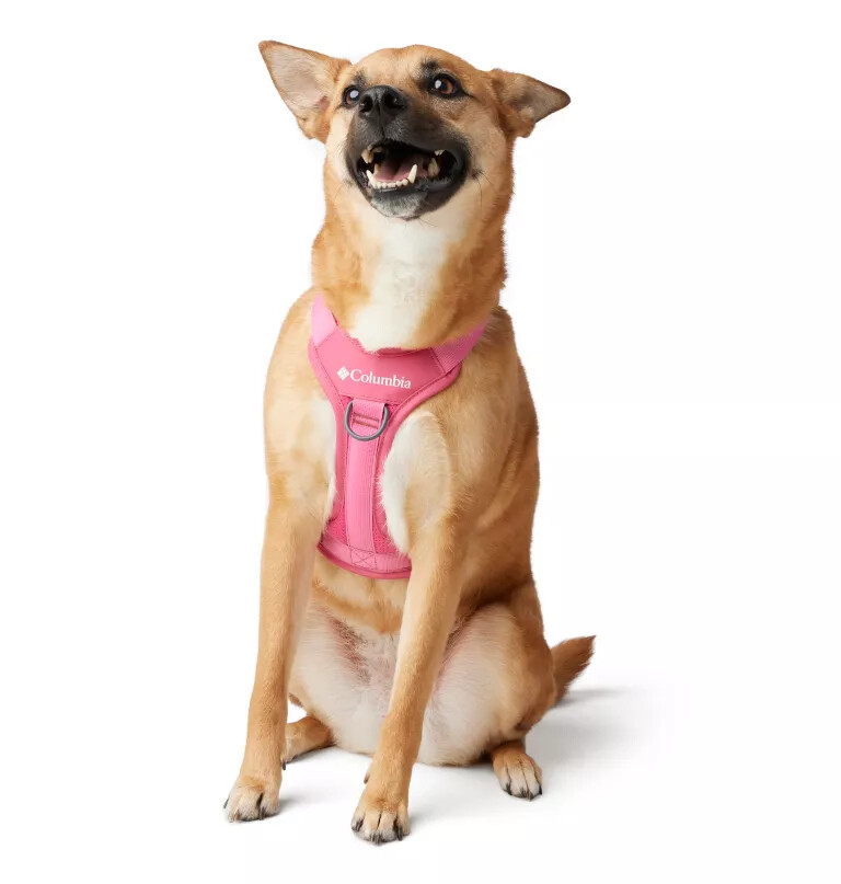 silver ridge hundesele