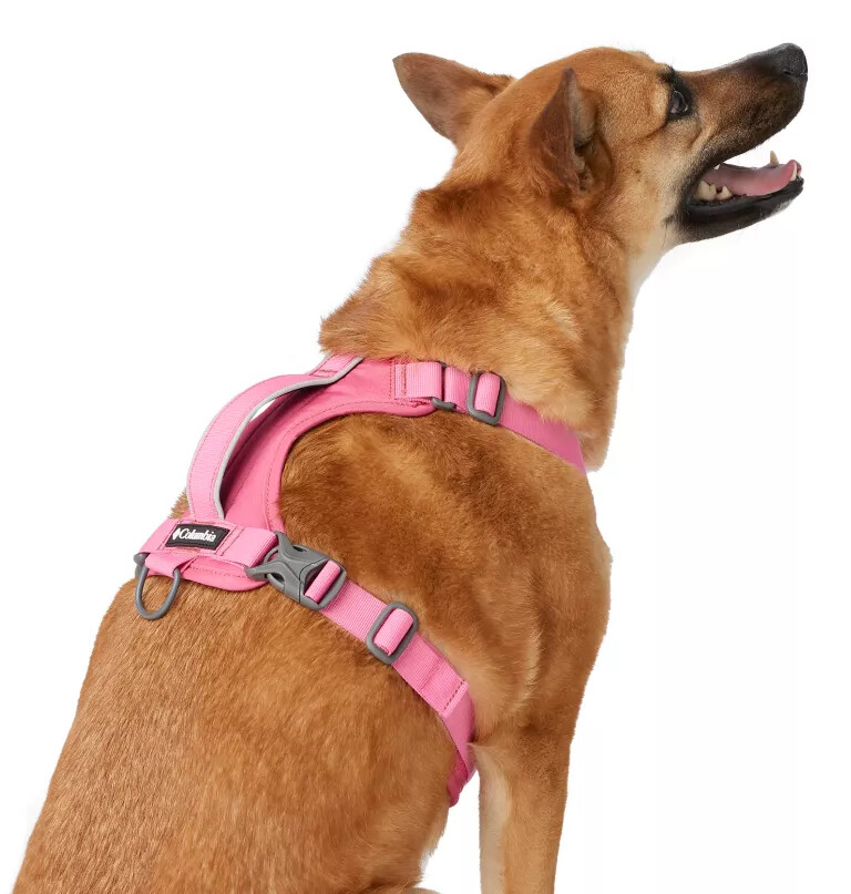 silver ridge hundesele