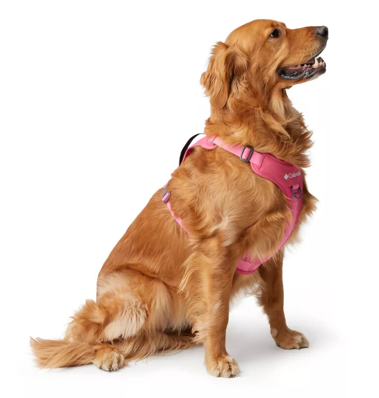 silver ridge hundesele