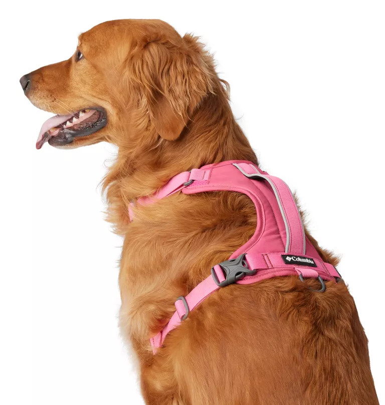 silver ridge hundesele