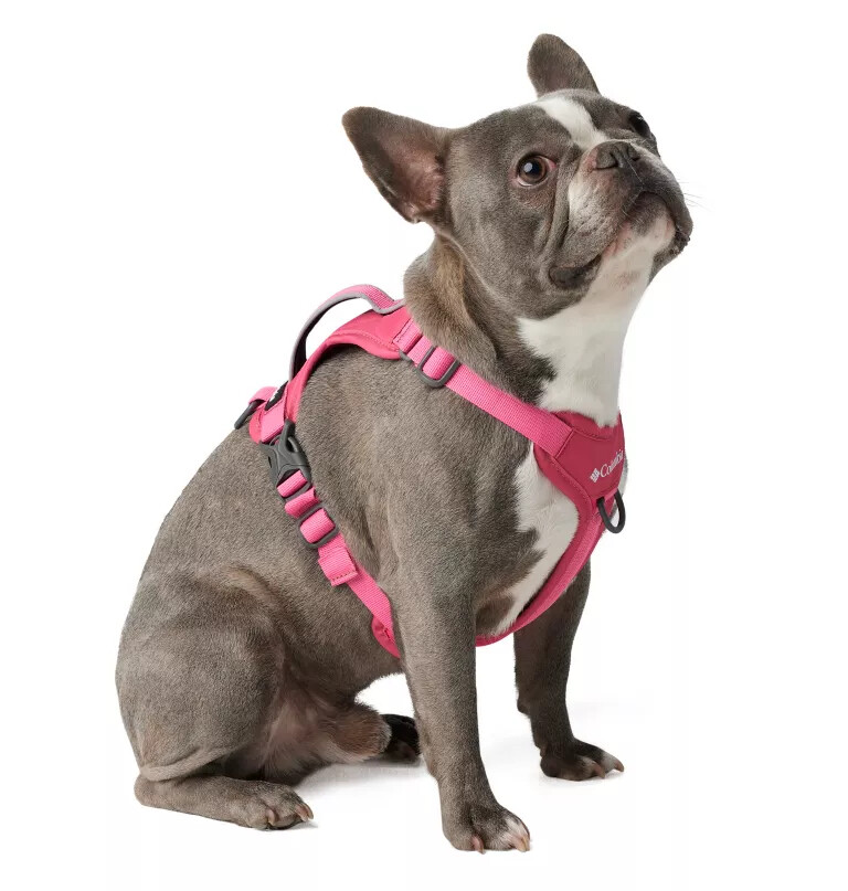 silver ridge hundesele