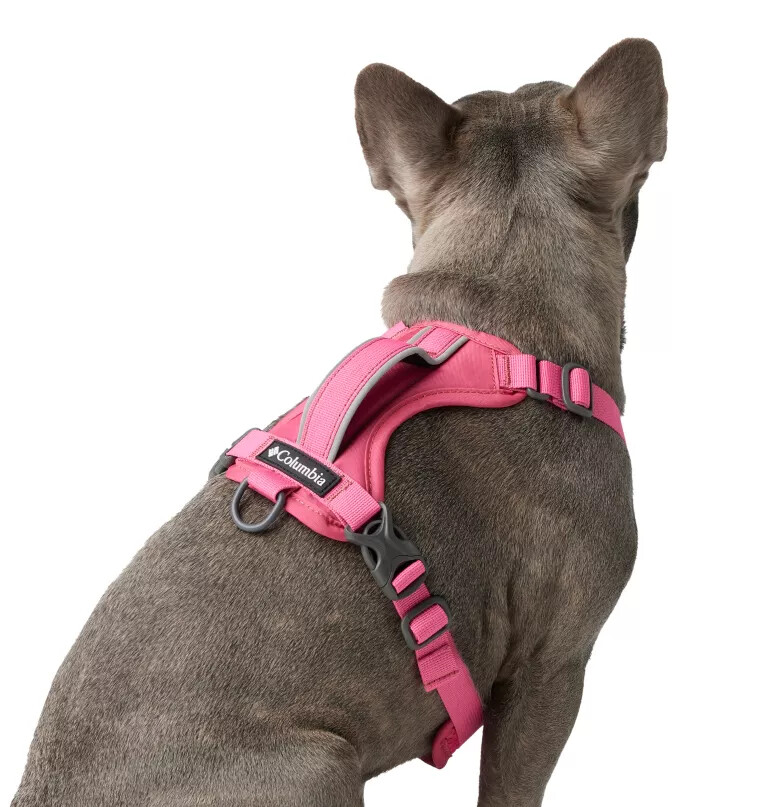 silver ridge hundesele