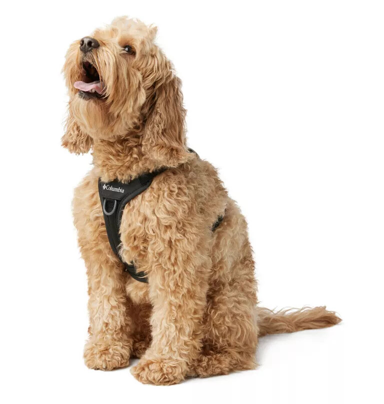 silver ridge hundesele