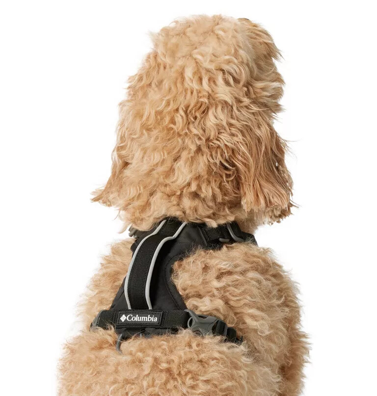silver ridge hundesele