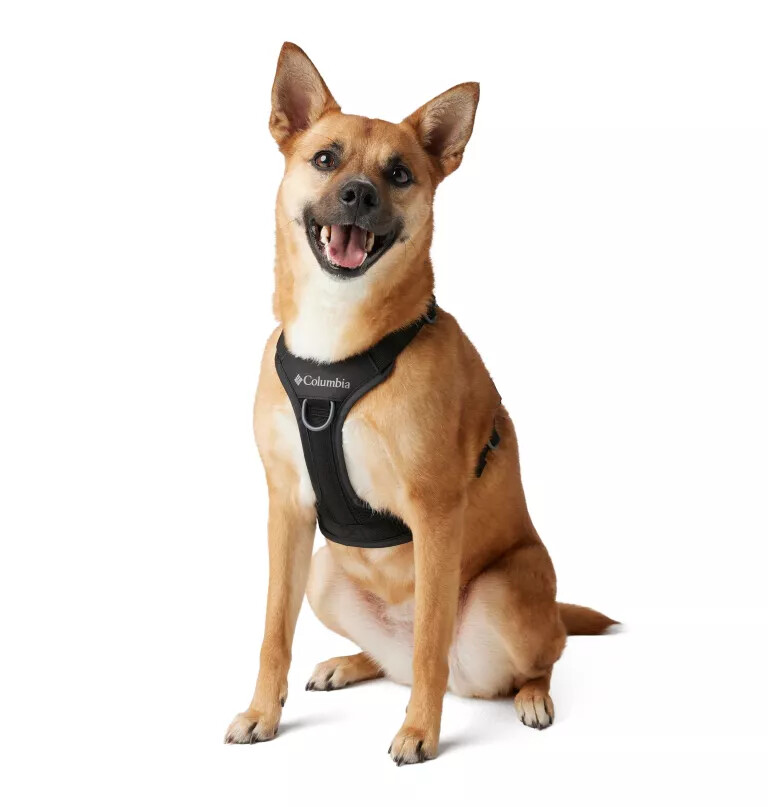silver ridge hundesele