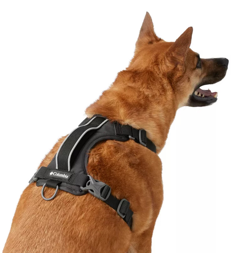 silver ridge hundesele