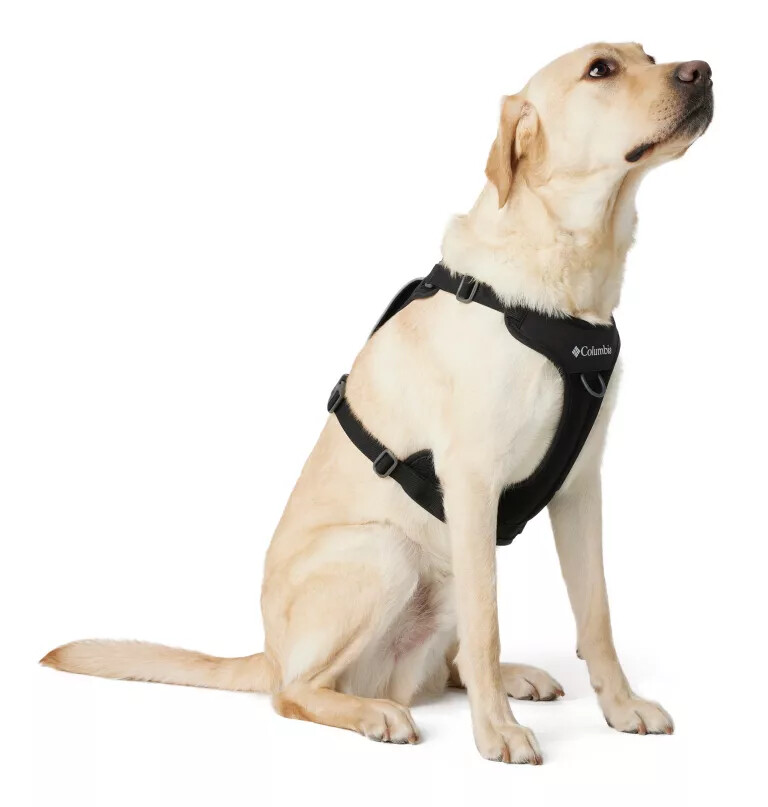 silver ridge hundesele