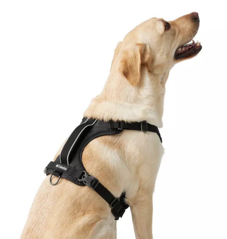 silver ridge hundesele
