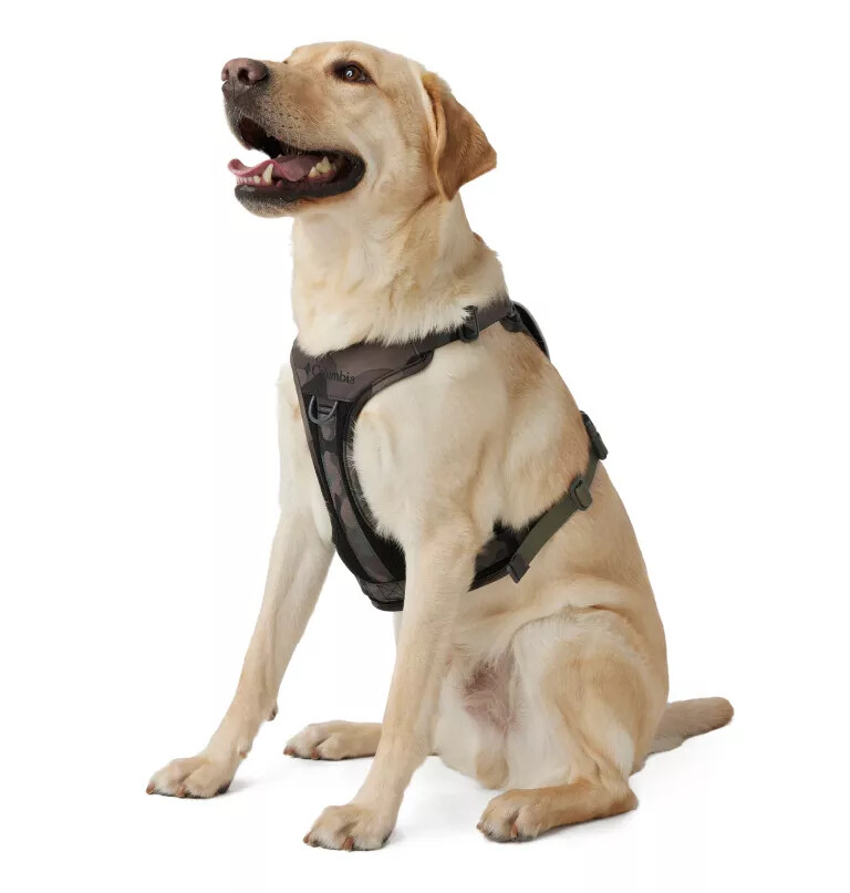 silver ridge hundesele