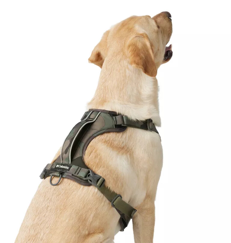 silver ridge hundesele