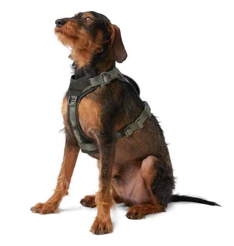 silver ridge hundesele