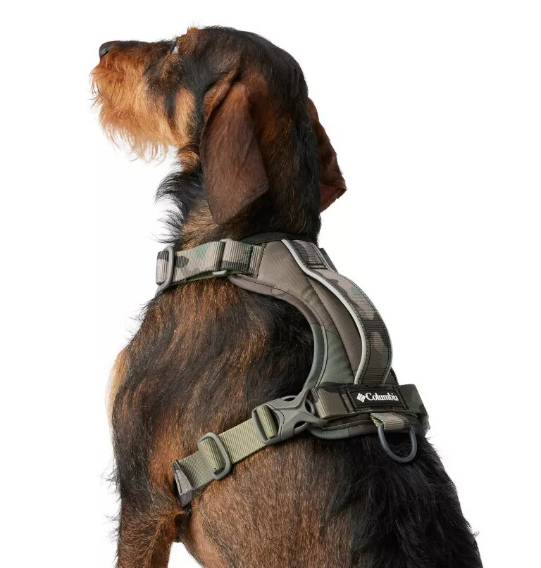 silver ridge hundesele
