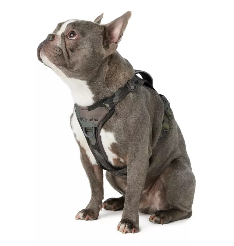 silver ridge hundesele